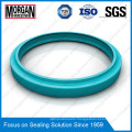 Lbi Profile Hydraulic Cylinder Rod Double Dust Wiper Seal Ring